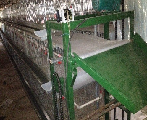 蛋鸡装备传送带式清粪机常见的这些问题你都知道吗？